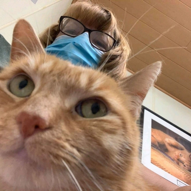 VetCor Community Connections October 2021